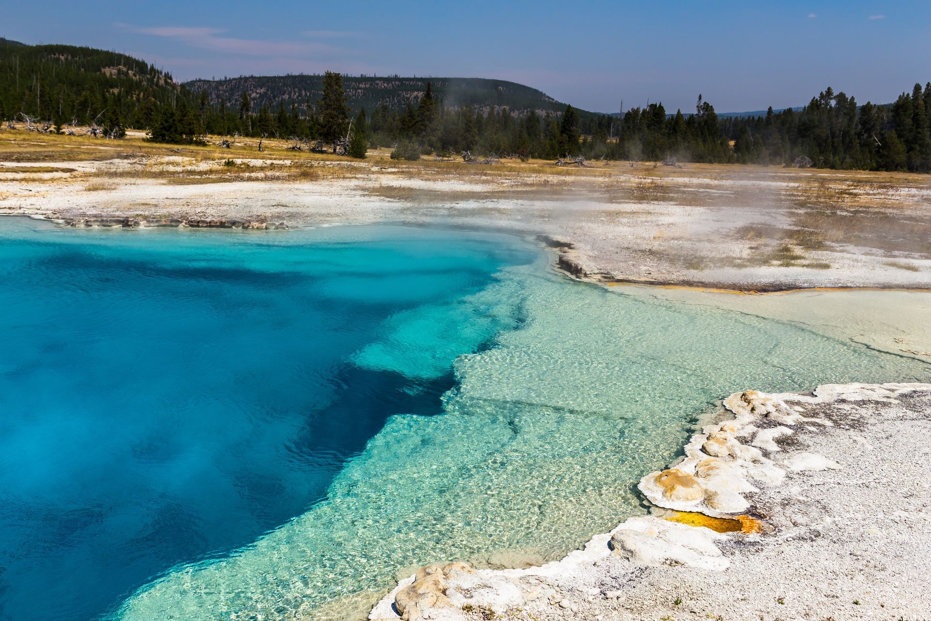 Yellowstone