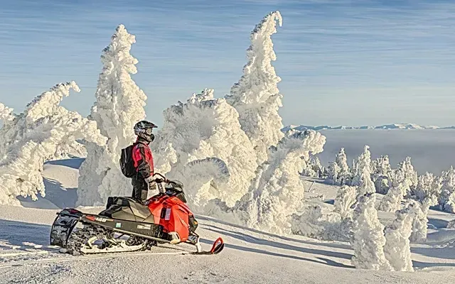 Snowmobile Tours