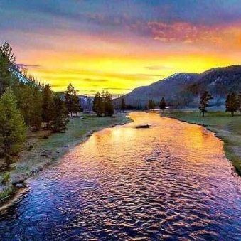 Sunset over a winding river with golden reflections, pine trees, and mountains in the background