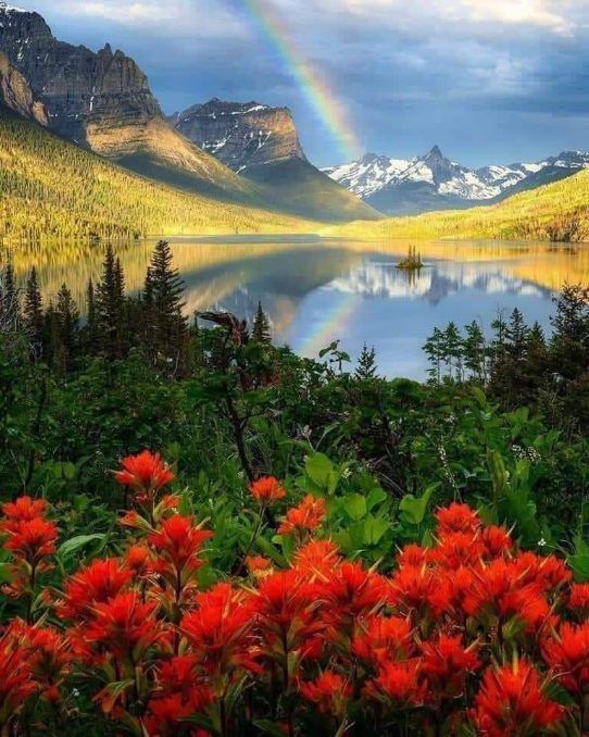 Red wildflowers in foreground over a mountain lake with autumn trees, snowy peaks, and a rainbow sky