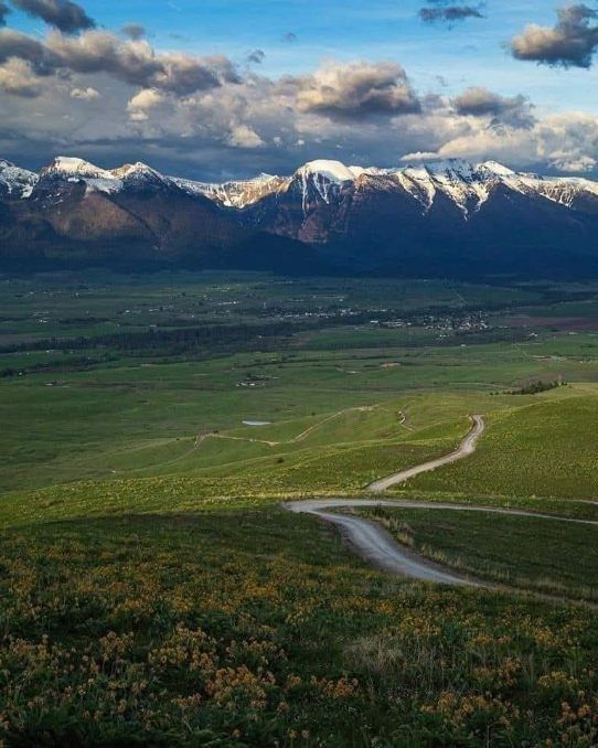 Green valley with a winding road leading to snowcapped mountains under a cloudy sky