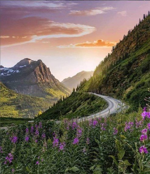 Mountain road winding through wildflowers at sunset, with rocky peaks and a green valley.