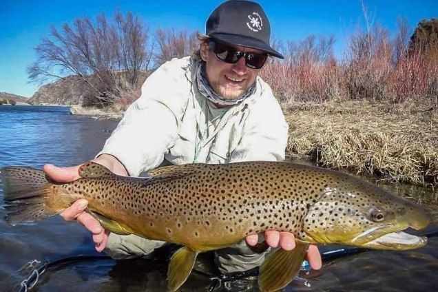 Angler holding a large brown trout in a river, with leafless trees and blue sky in the background