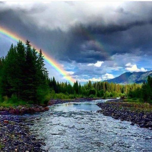 Rainbow over a rocky river with pine trees and mountains under dark storm clouds