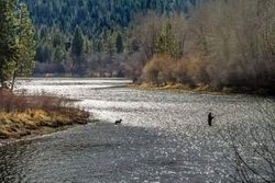 Fly Fishing Trips