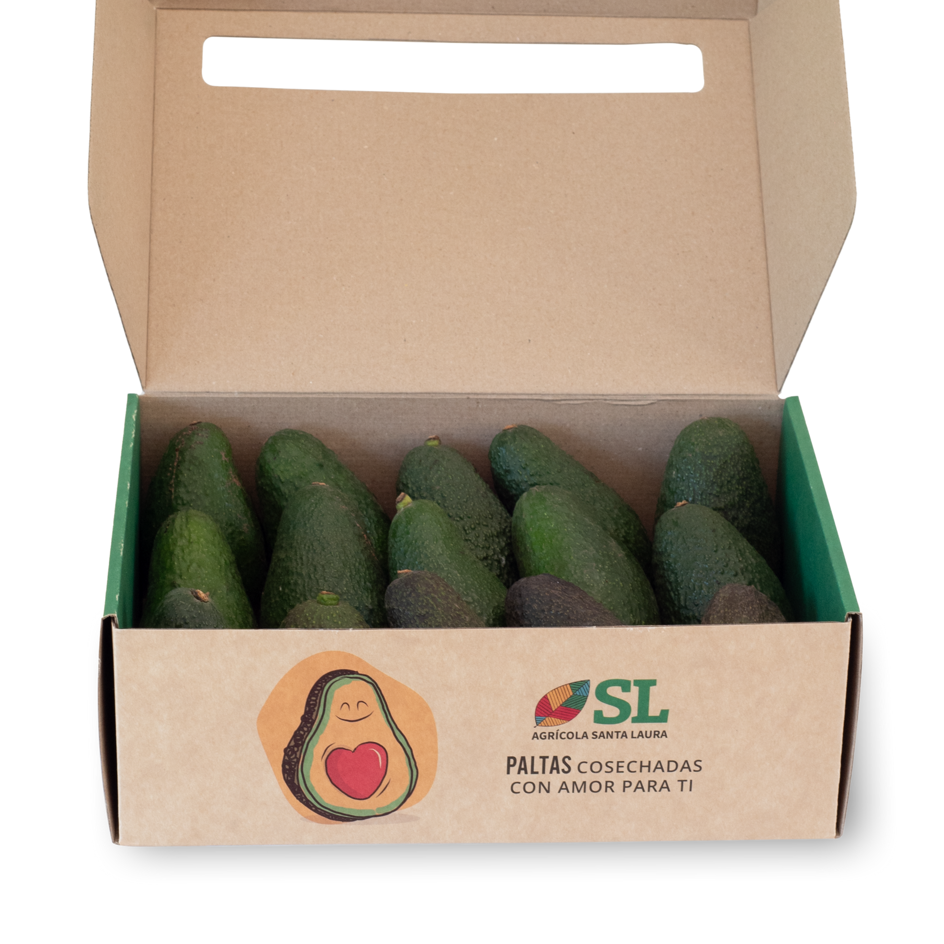 Caja de Palta Hass - 15 paltas