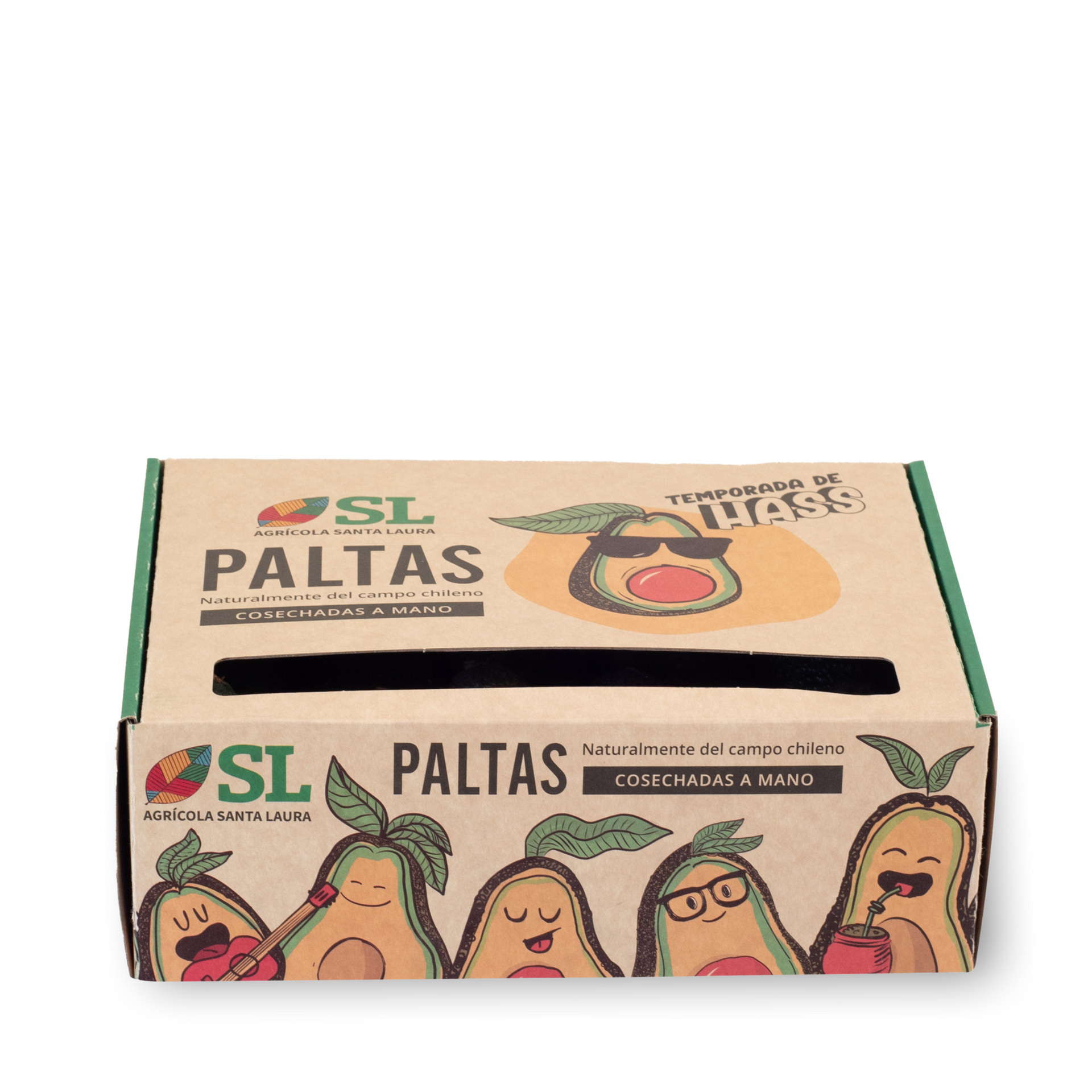 Caja de Palta Hass - 15 paltas
