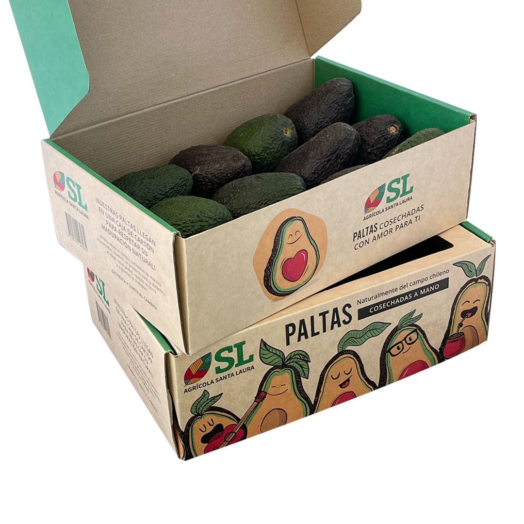 2 Cajas Palta Hass - 30 paltas