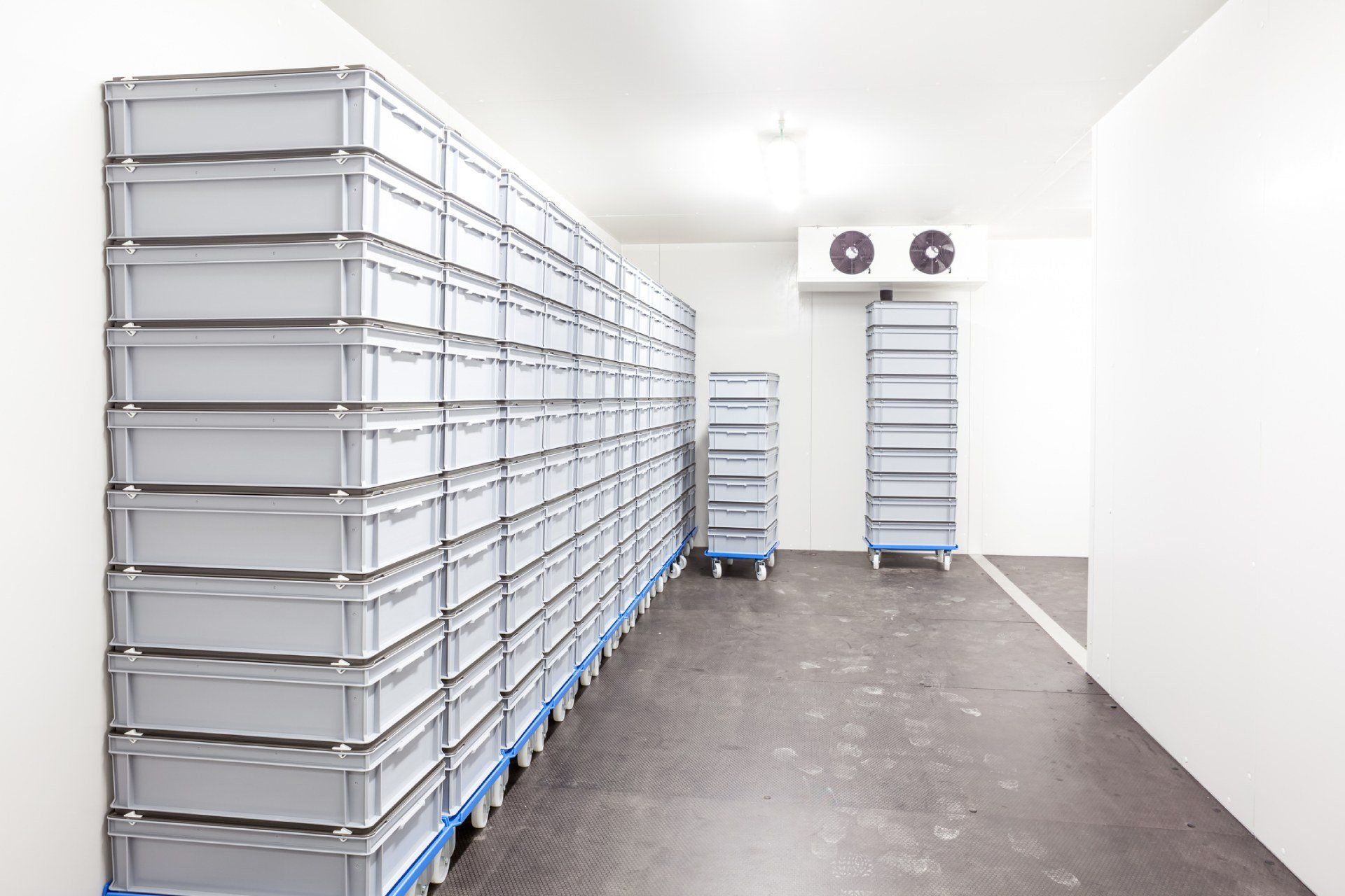 celle per la refrigerazione industriale