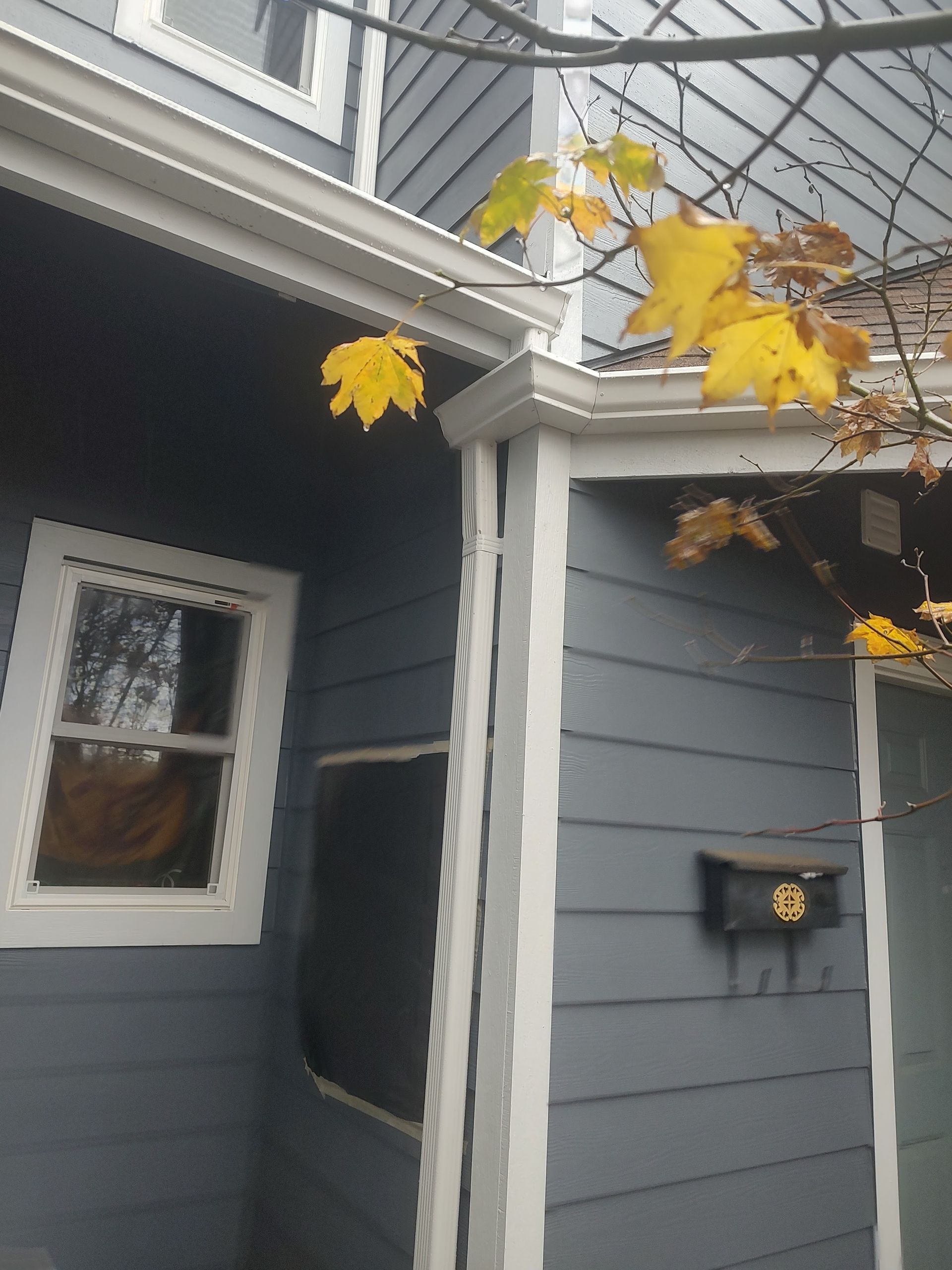 Gray house exterior with white trim, a side window, and yellow autumn leaves overhead