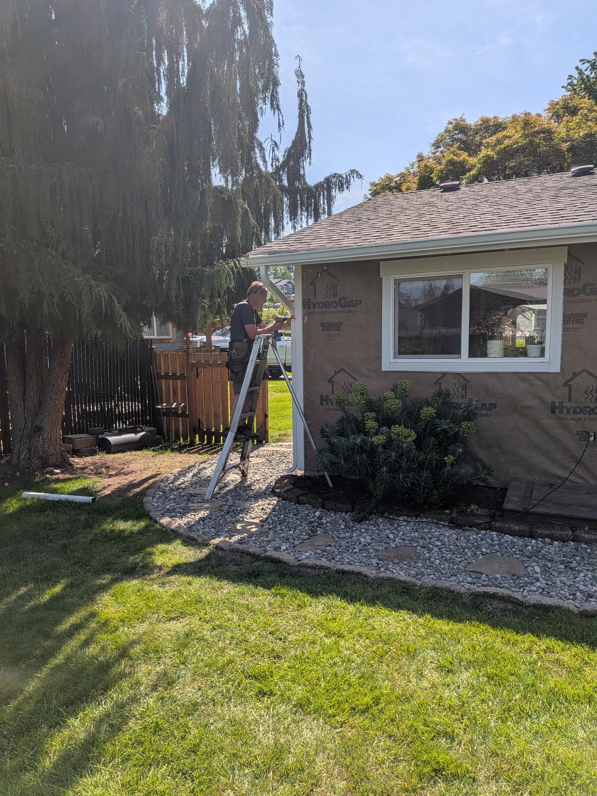 Sunny backyard with a stone house, window, grass lawn, and tall tree casting shade