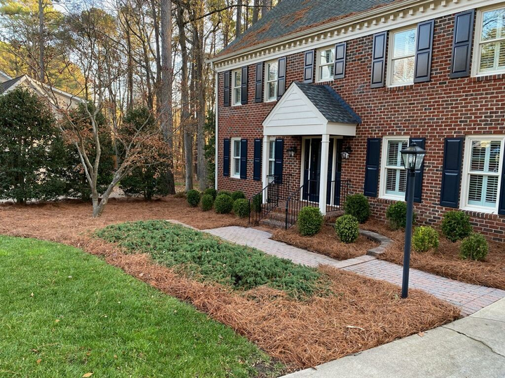 Red brick house with shrubs, pathway, and pine straw landscaping.