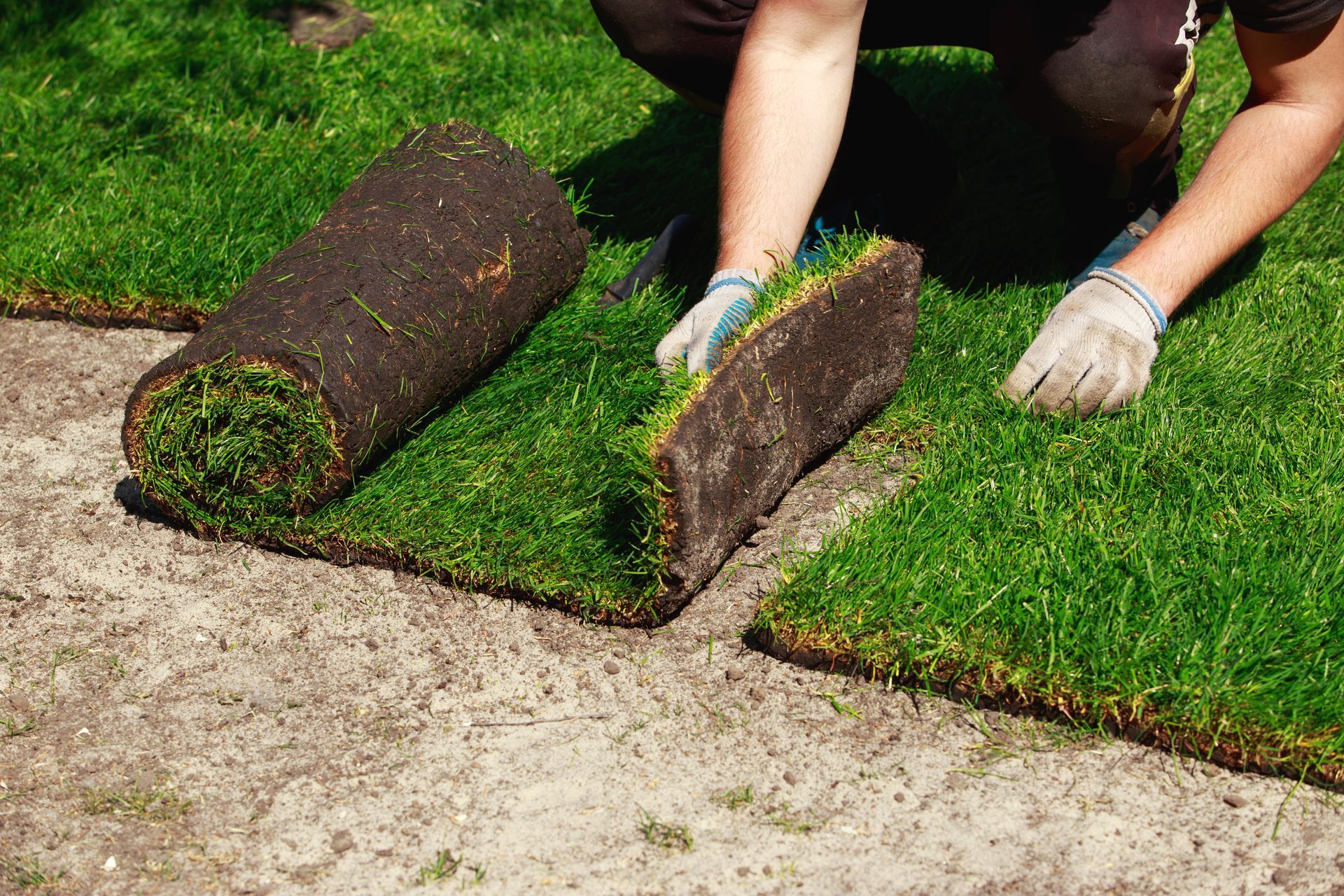 Person laying sod rolls on a green lawn.