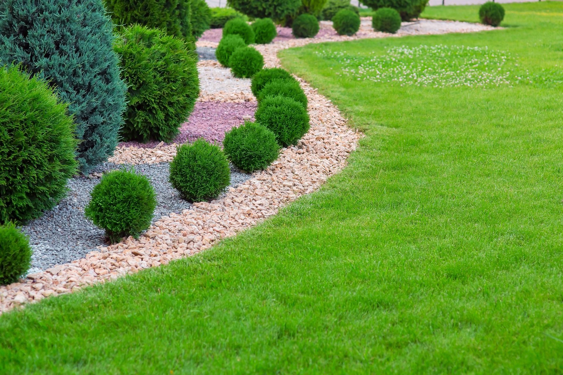 Lush green lawn borders a landscaped garden with round, green shrubs and decorative stones.