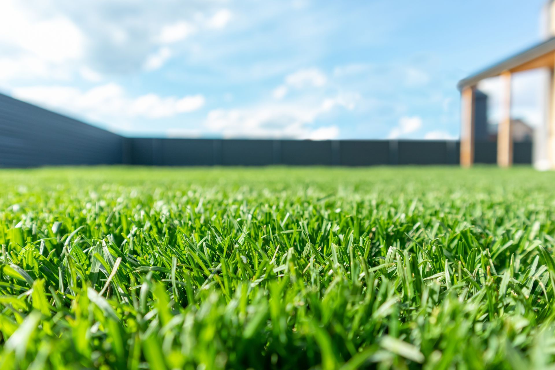 Man installing artificial turf in a small backyard, cutting the edges with a tool.