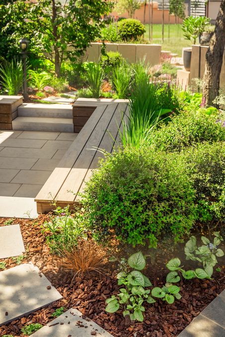 Landscaped garden with layered levels, stone steps, wooden bench, and lush green plants.