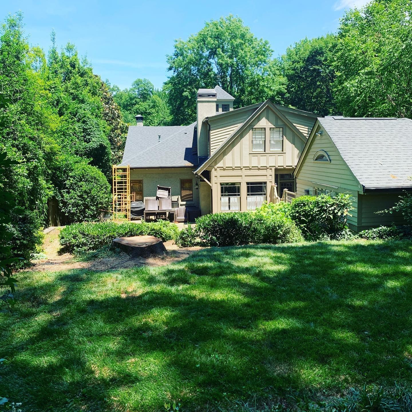 Beautiful backyard with healthy, well-maintained trees surrounding a home.