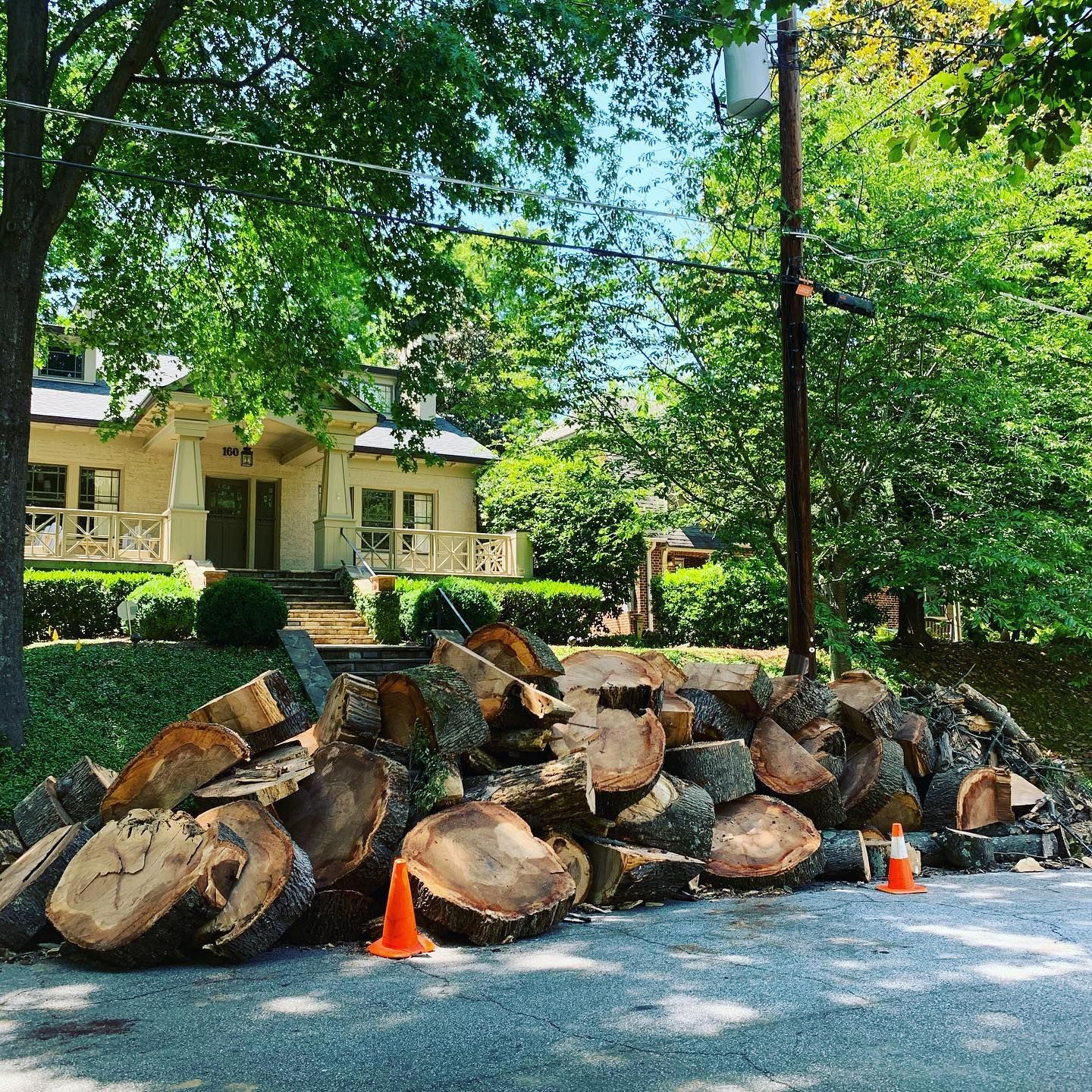 Professional team clearing fallen tree debris in a residential backyard.