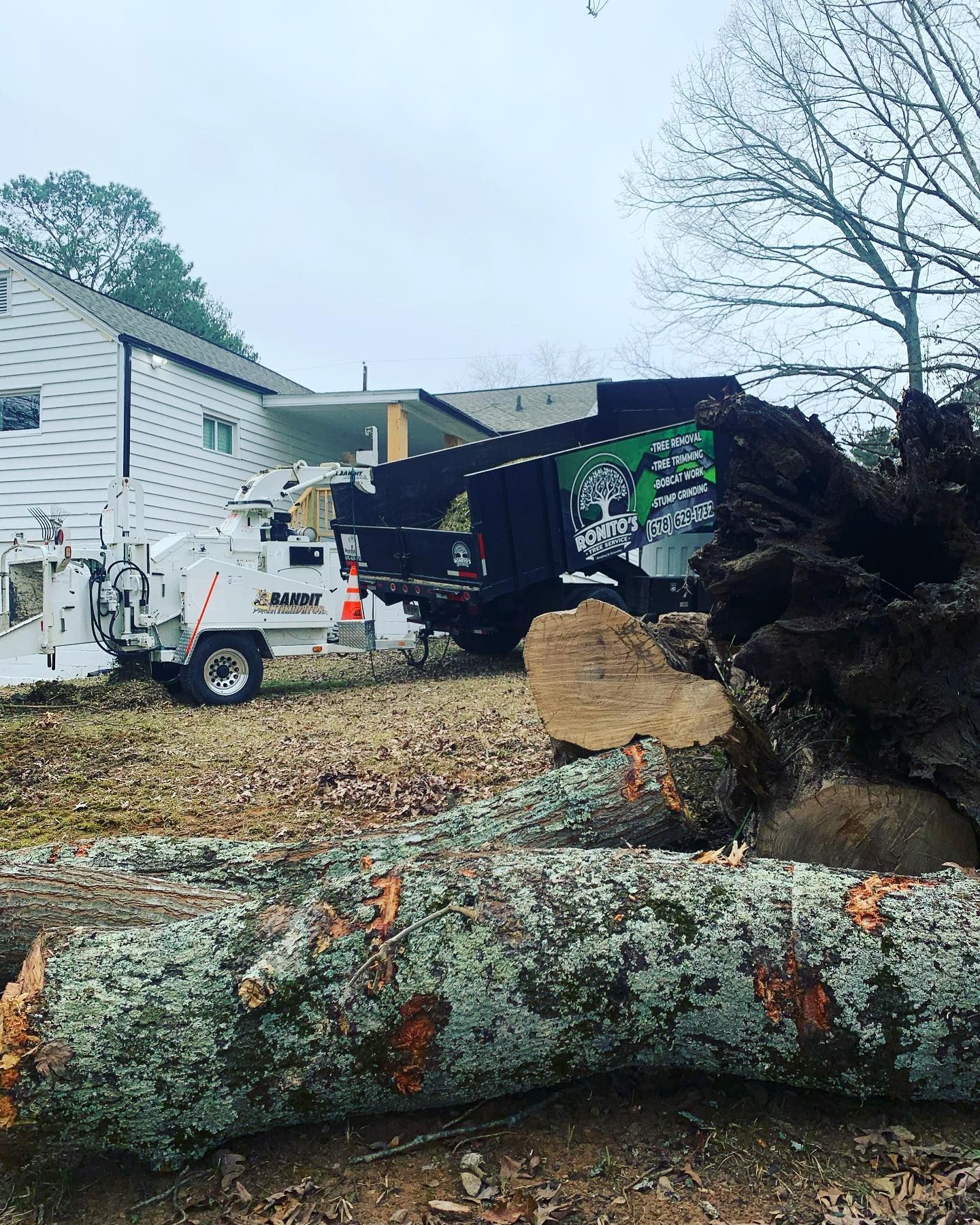 A large tree stump is sitting in front of a house.