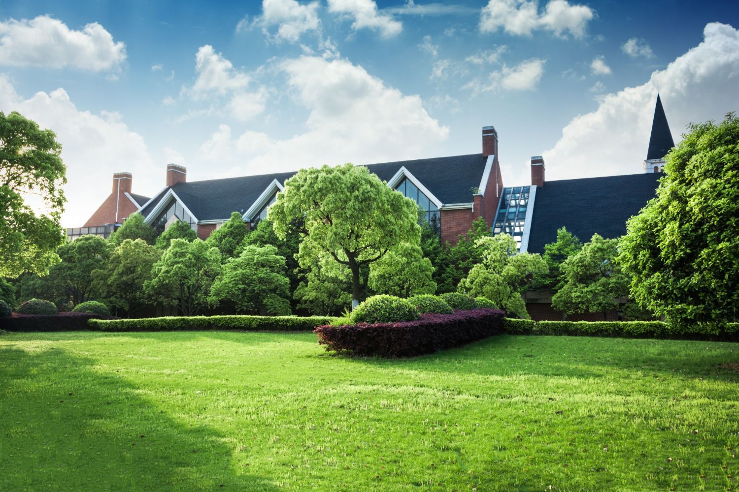 A well-maintained yard in Atlanta with neatly trimmed trees and vibrant greenery showcasing the benefits of professional tree trimming services.