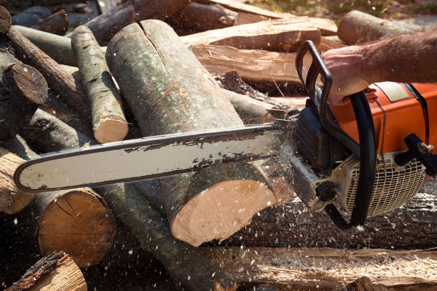 Chainsaw cutting through logs, demonstrating tree removal and wood processing – ideal for professional tree-cutting services.