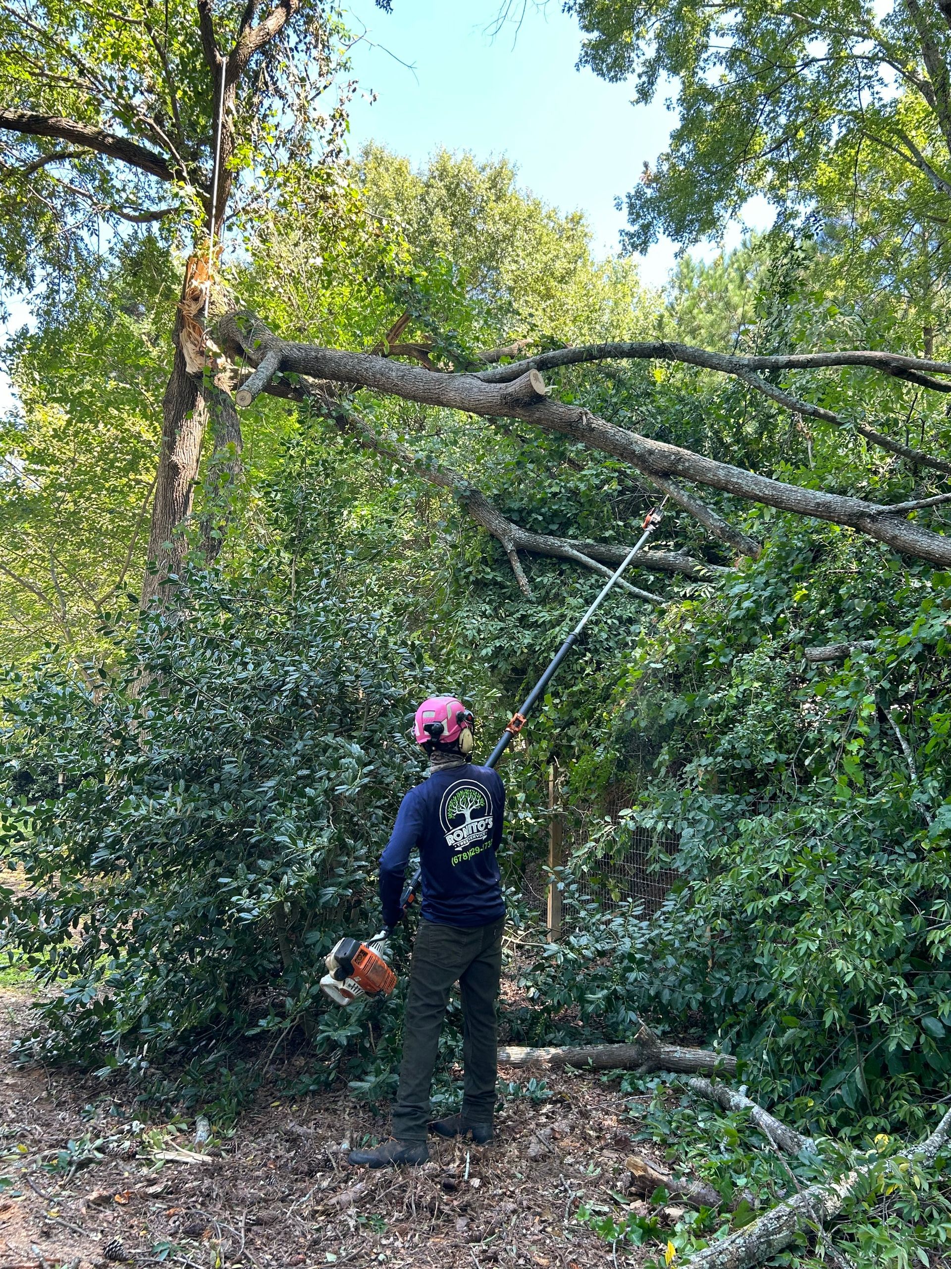 A man is cutting a tree with a chainsaw in the woods.