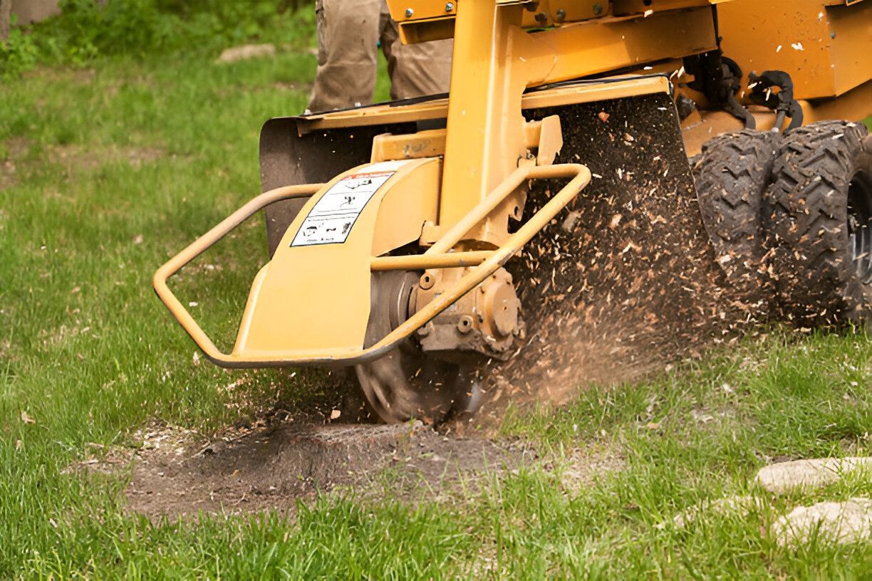 Heavy-duty stump grinder in action, removing a tree stump from a grassy area.