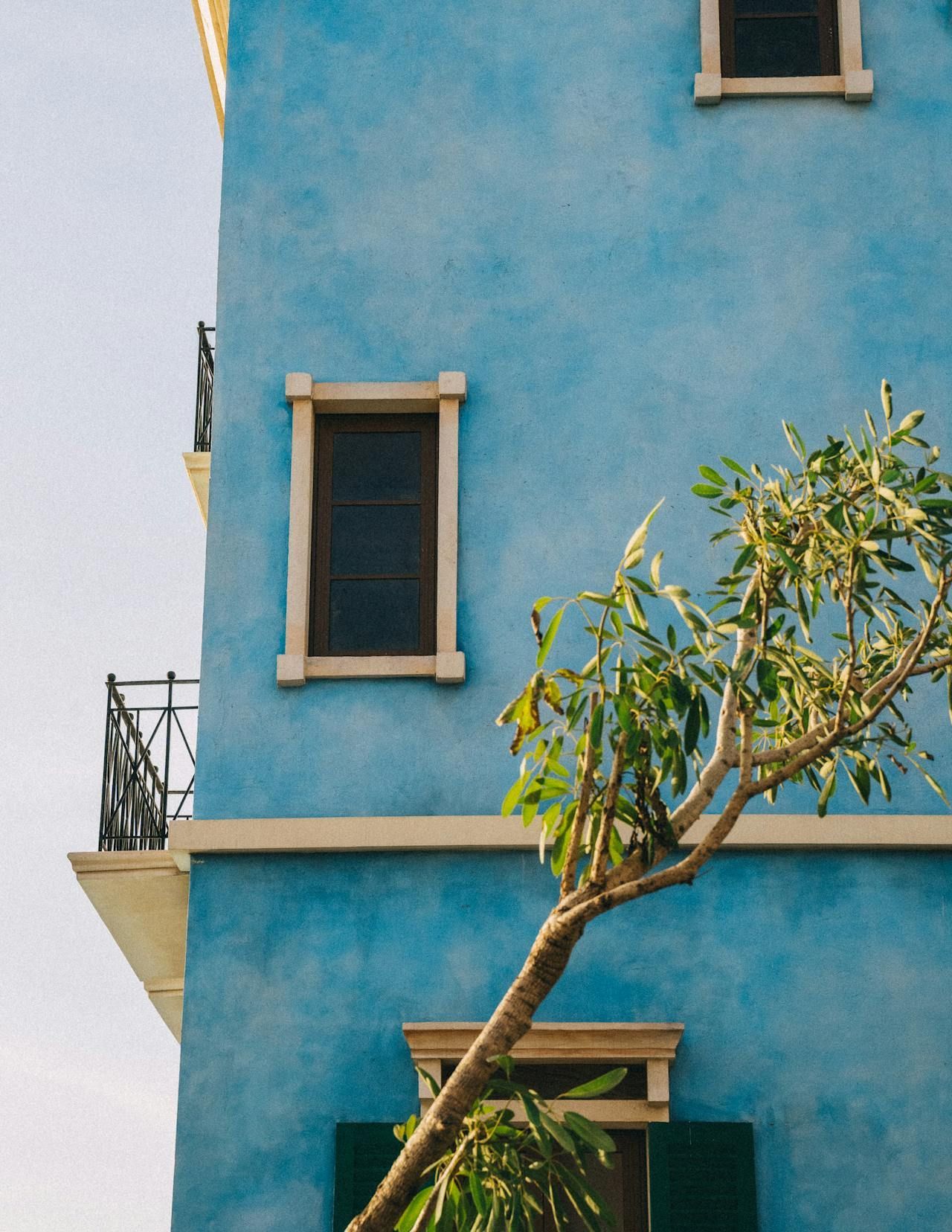 Tree growing close to a residential building, highlighting the need for tree trimming or removal.