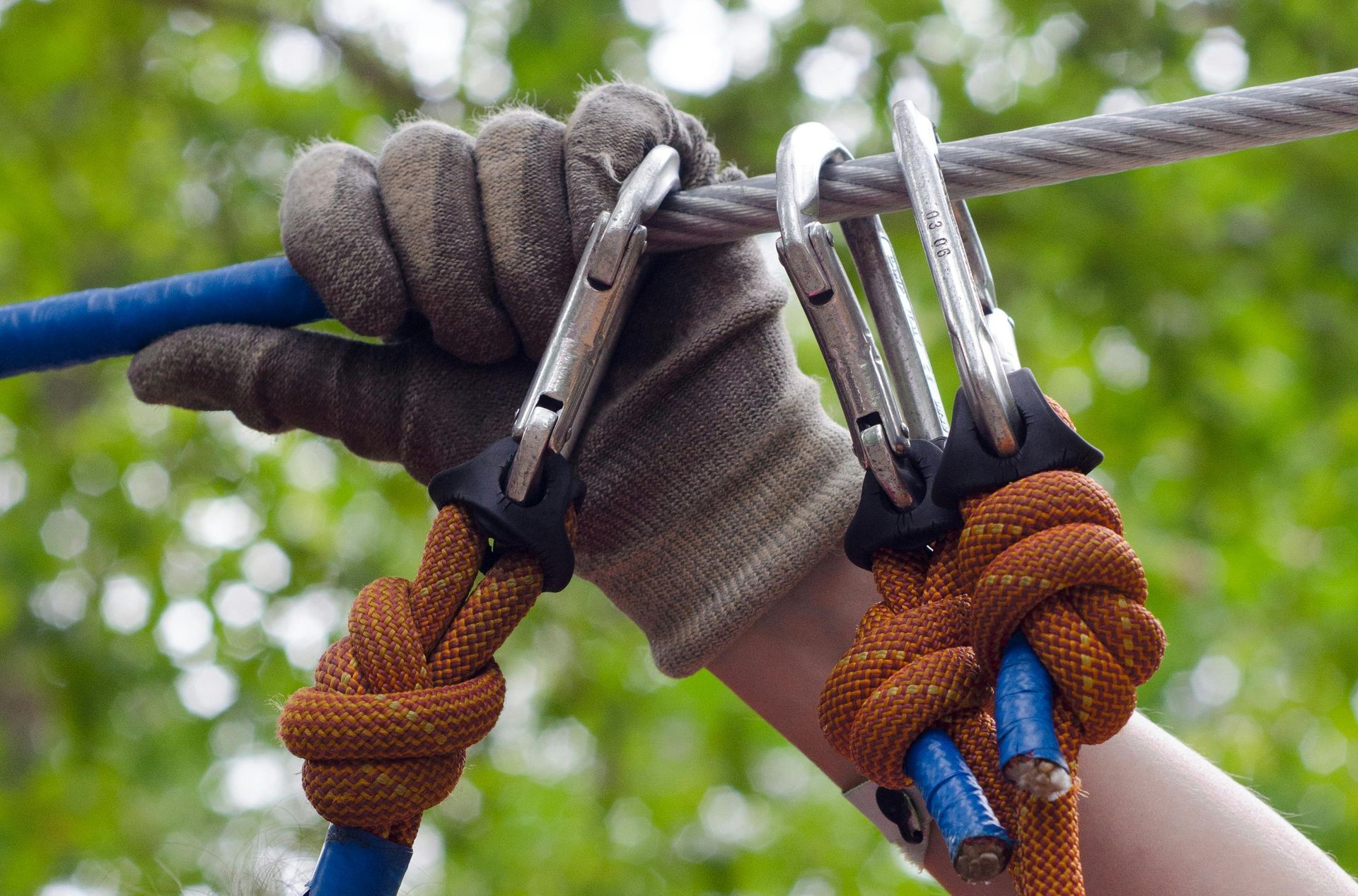 Arborist wearing gloves securing a tree climbing safety harness with a rope.