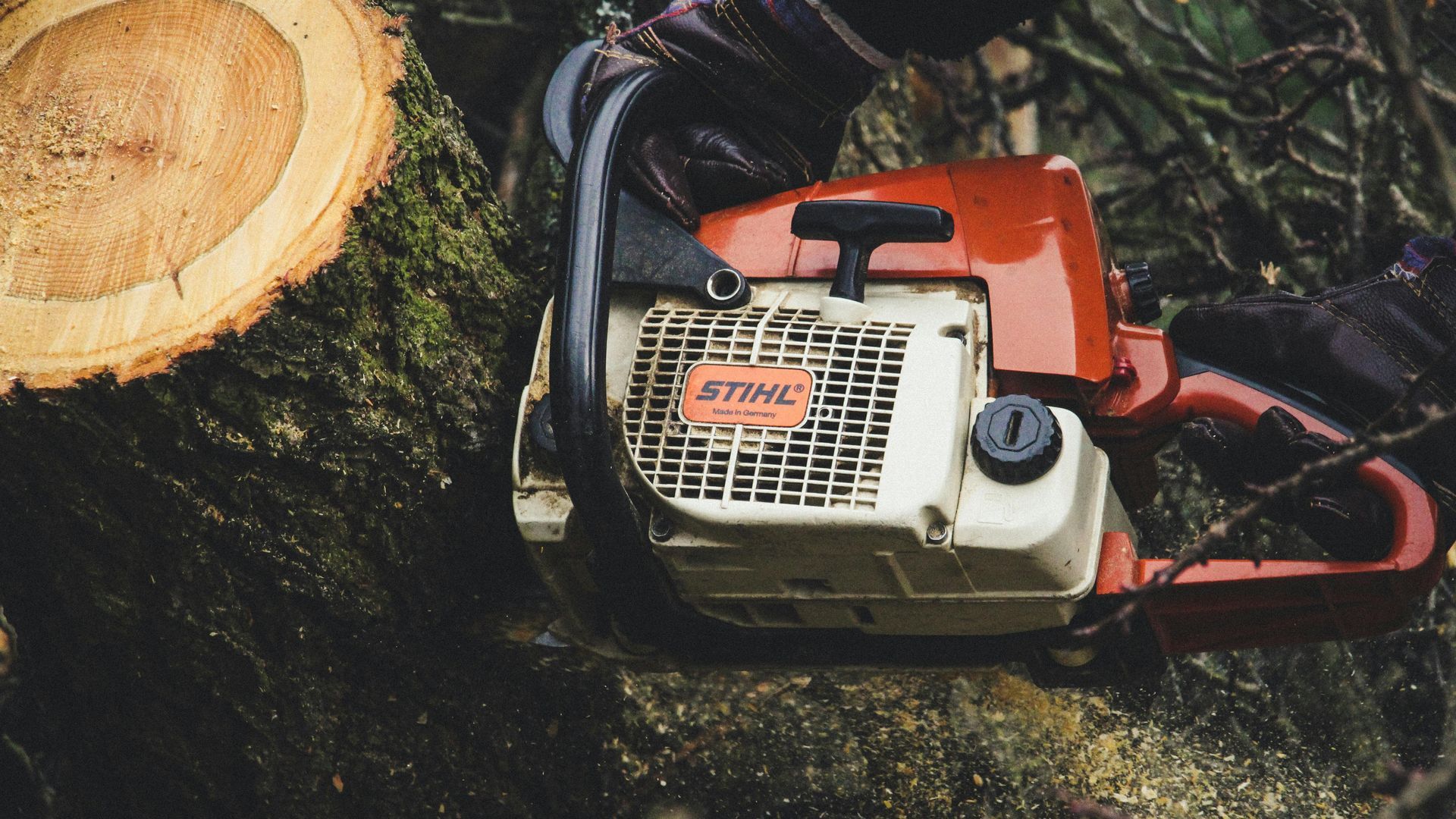 Stump grinder machine next to a freshly cut tree stump on a lawn.