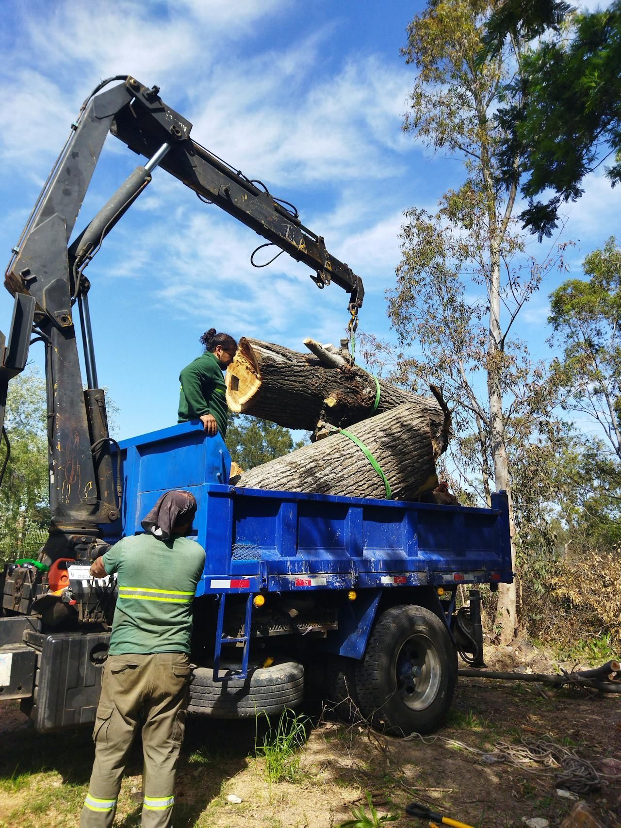 Professional tree removal service using heavy equipment to lift and haul a large tree trunk.