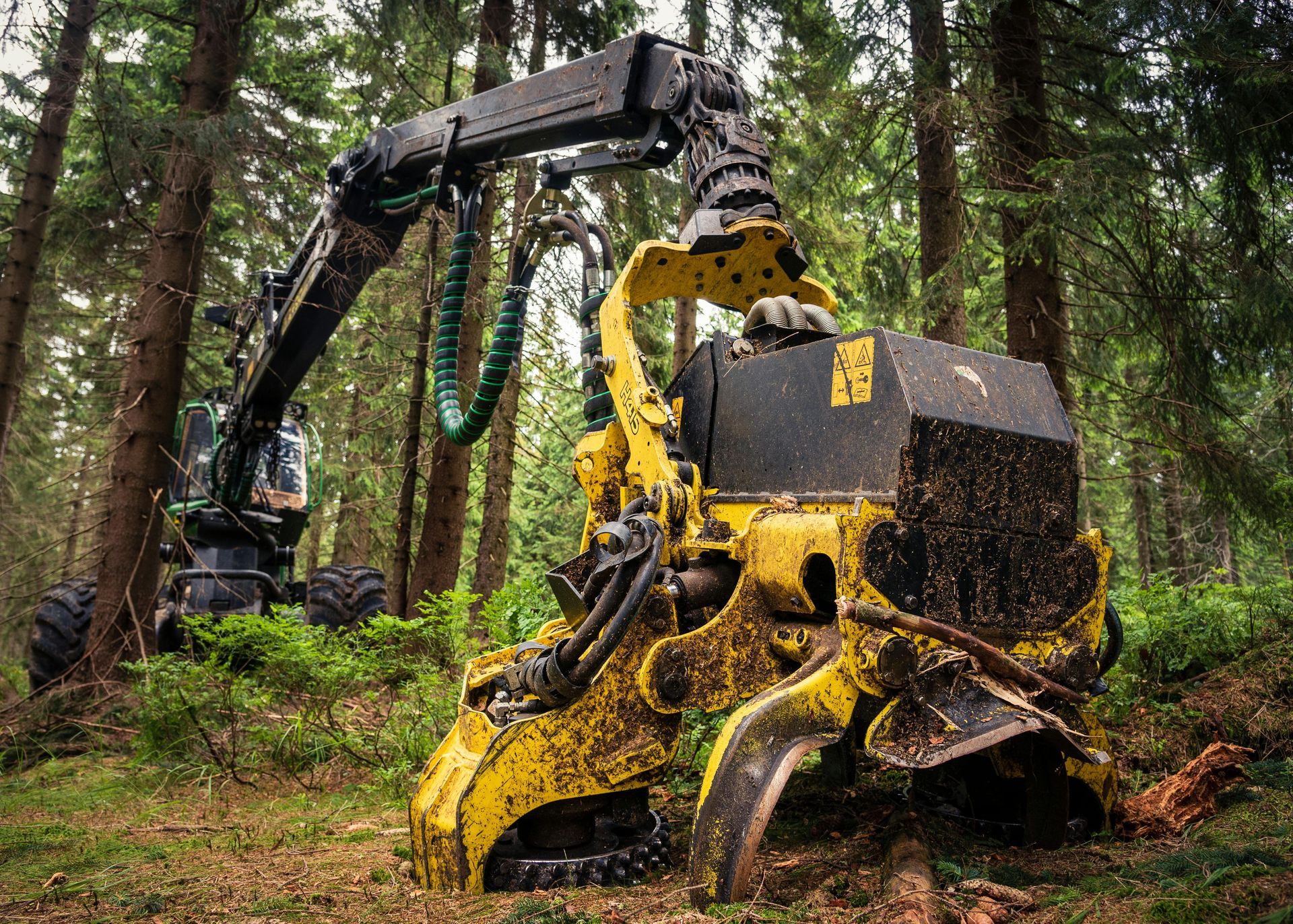 Professional land clearing equipment in action, removing trees and brush in a wooded area.