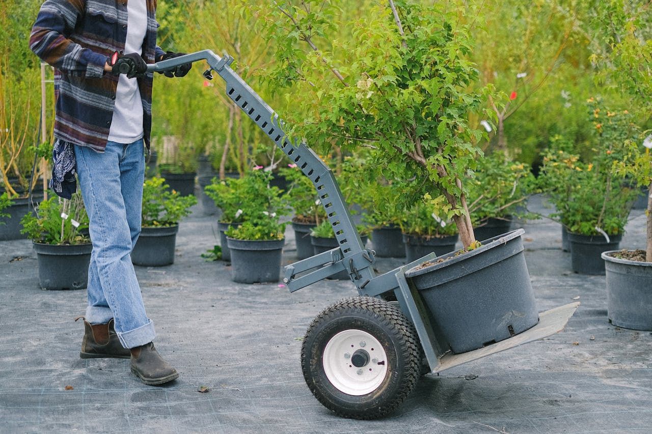 A man is pushing a cart with potted plants on it.