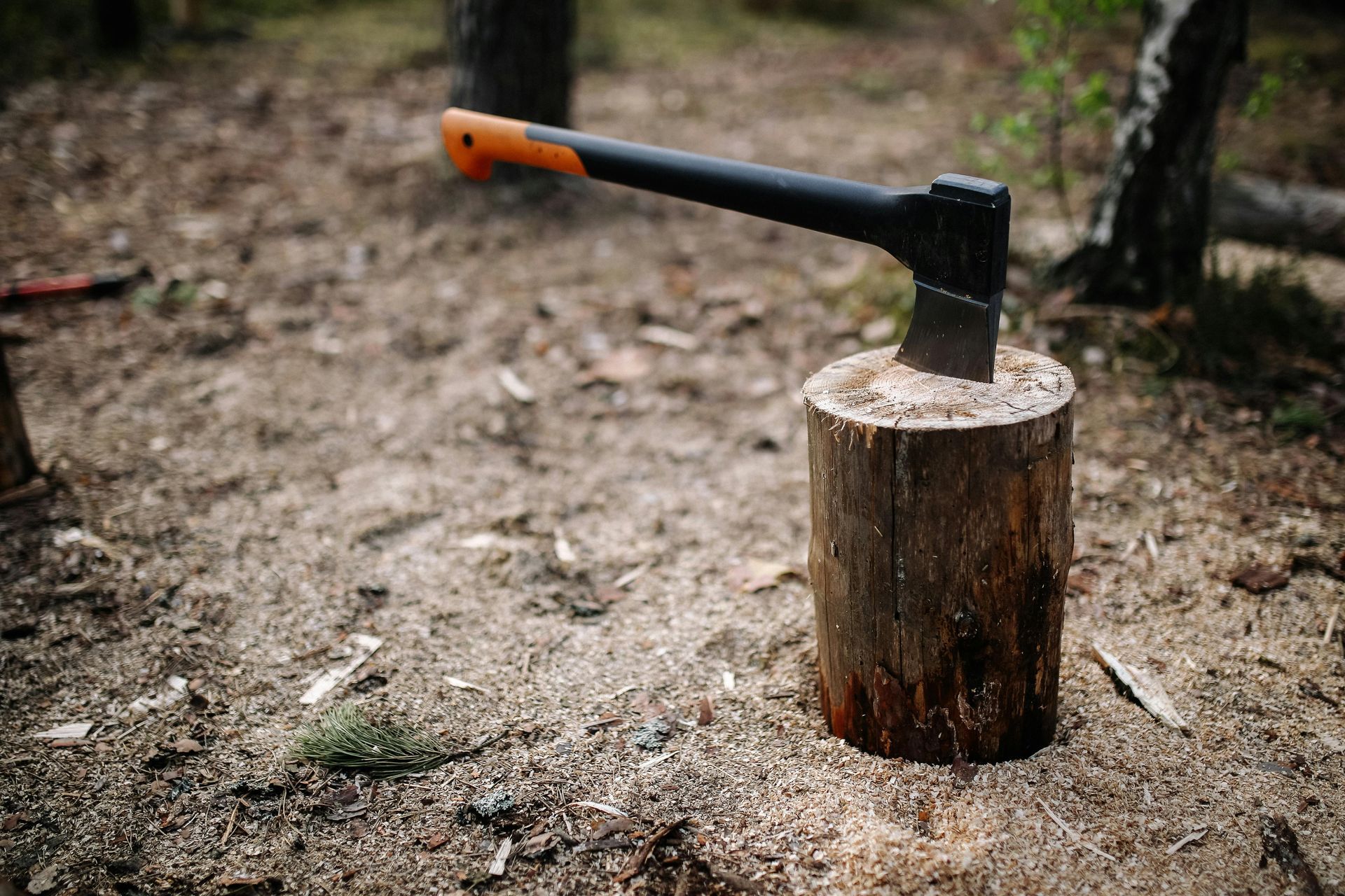 Tree stump with an axe nearby, illustrating DIY and professional stump removal options.