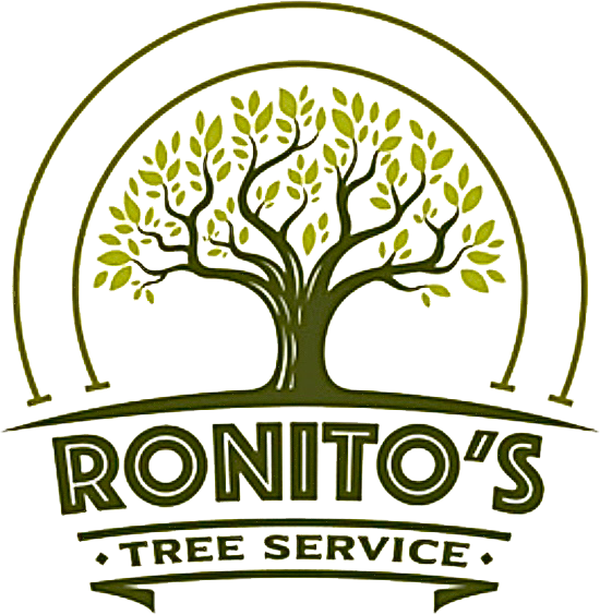 Ronito’s Tree Service Ronito’s Tree Service