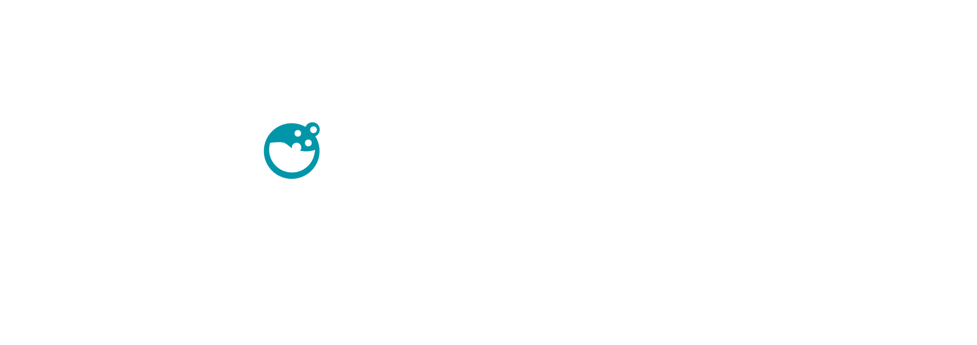 Logótipo Senhora Lavandaria