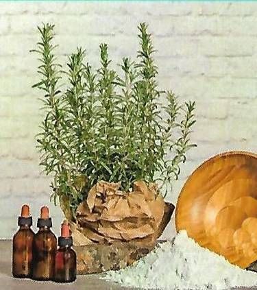 aromaterapia