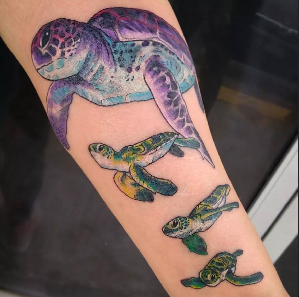 Sea Turtles Tattoo by Toby Shipman at Silver Ghost Tattoo in Edmonton Alberta Canada
