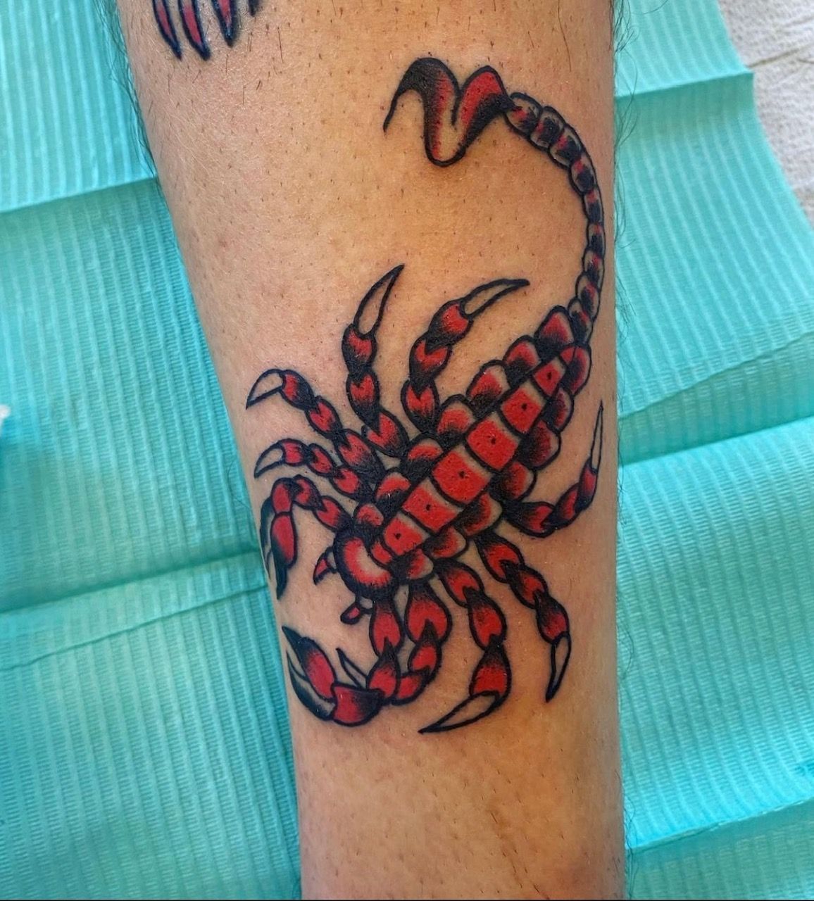 Scorpion Tattoo by JD Pezderic at Silver Ghost Tattoo in Edmonton Alberta Canada