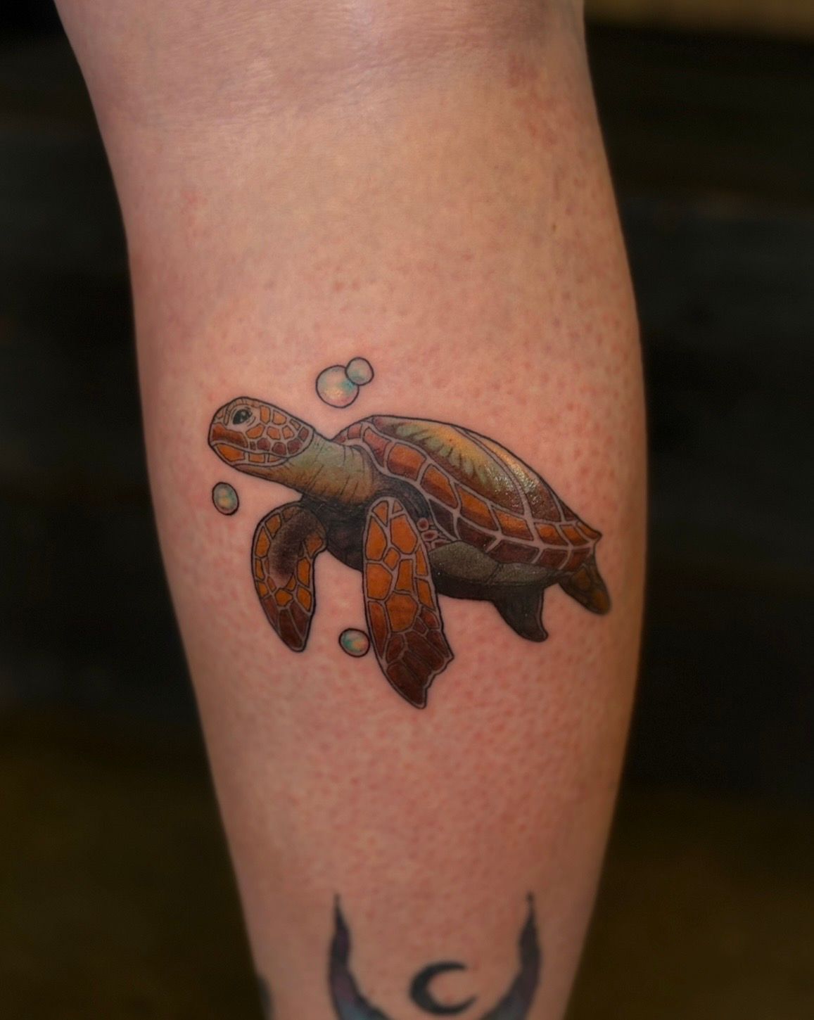 Turtle Tattoo by Fran Arceta at Crimson Empire Tattoo in Edmonton Alberta Canada