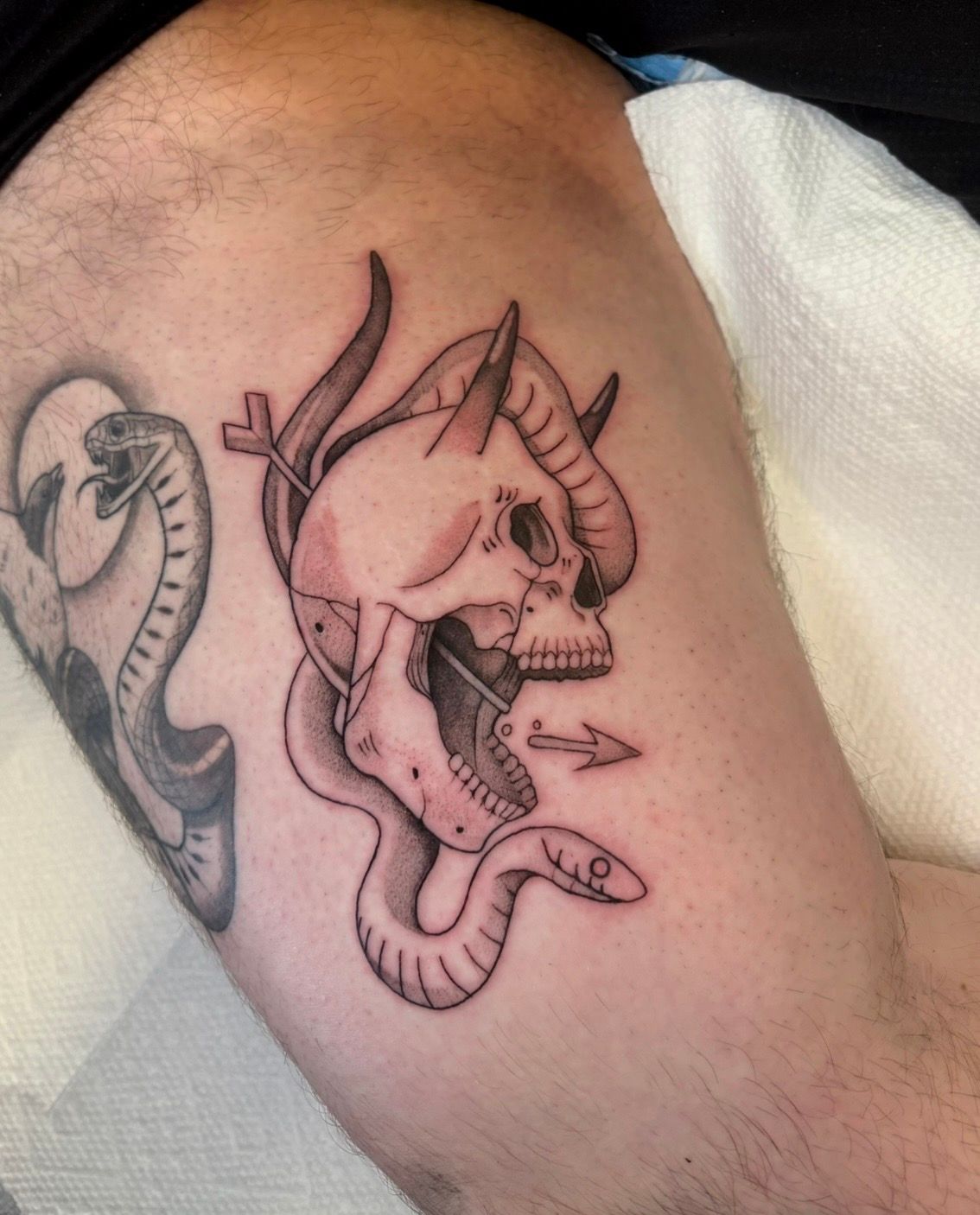 Snake and Skull Tattoo by Fran Arceta at Crimson Empire Tattoo in Edmonton Alberta Canada