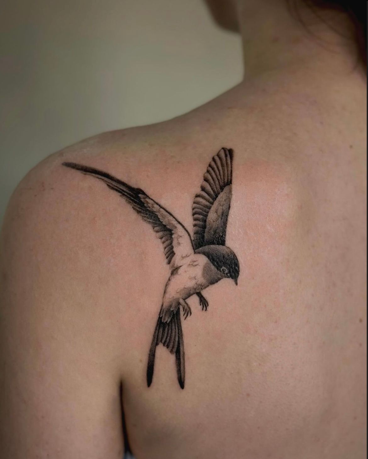 Swallow Tattoo by Anastasiya at Silver Ghost Tattoo in Edmonton Alberta Canada