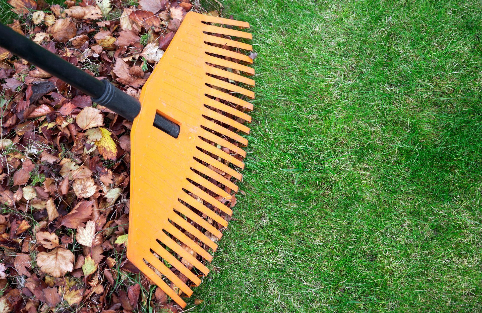 Leaf Removal in Jamestown, NY Leaf Removal in Jamestown, NY