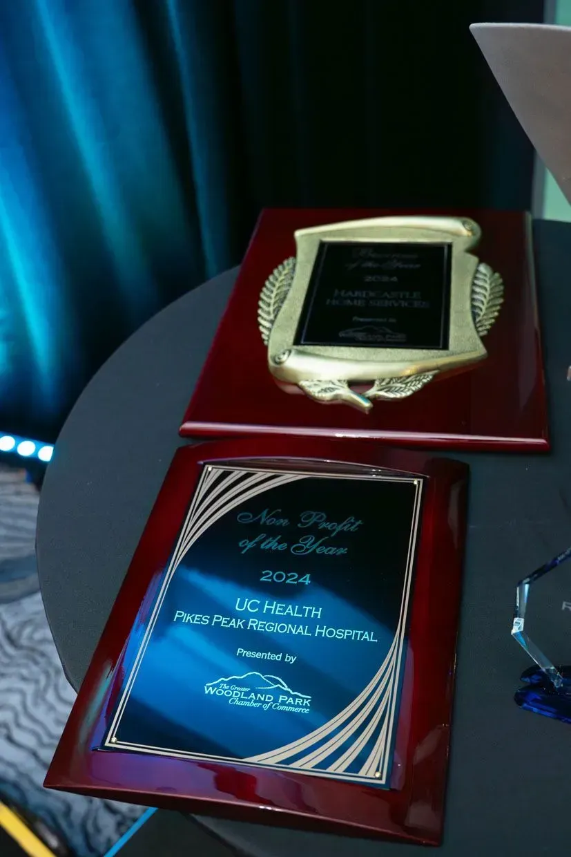 Two awards on a table. One gold, one black, both on red plaques. Blue-lit background.