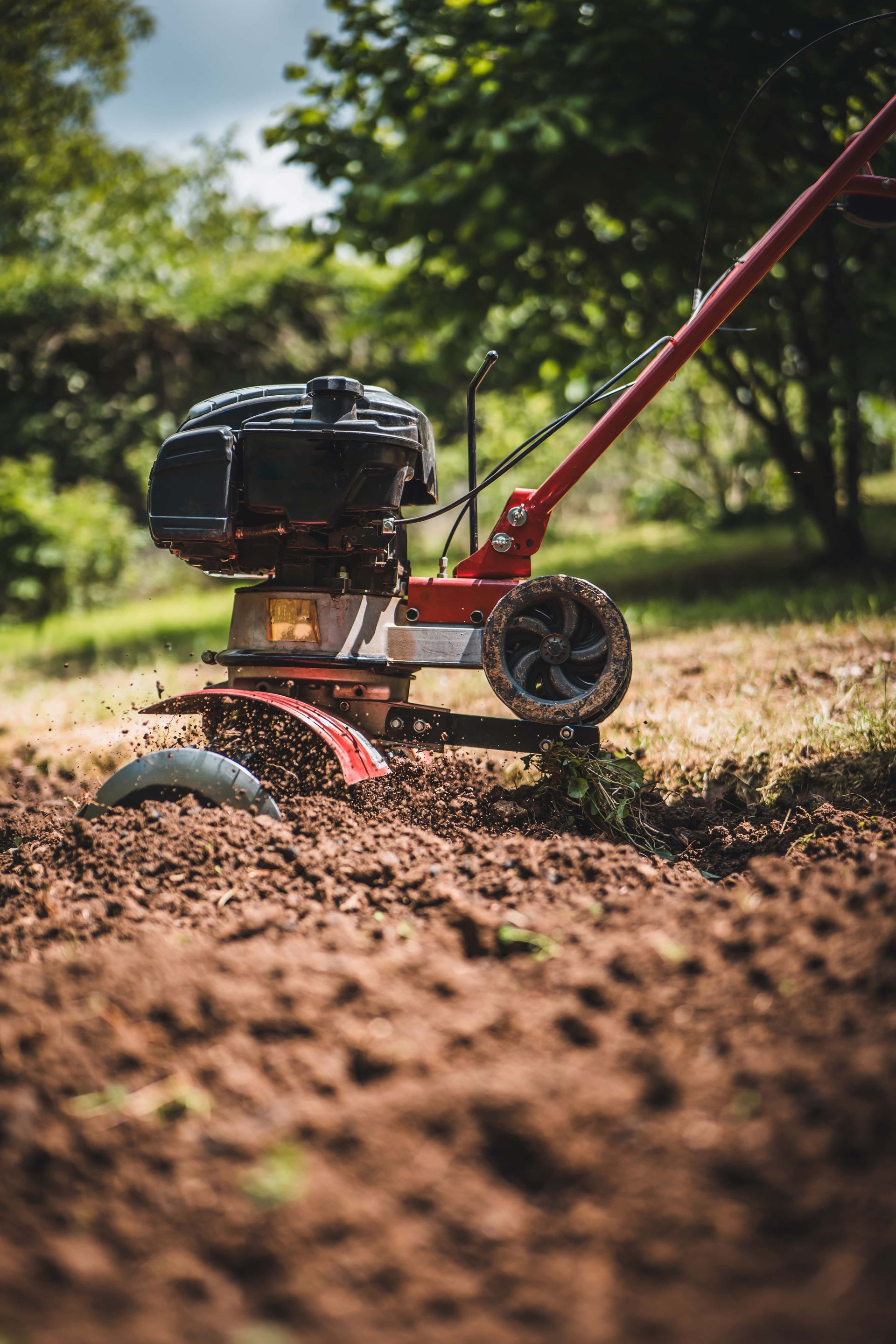 Red tiller with black engine loosening soil in a garden plot outdoors.