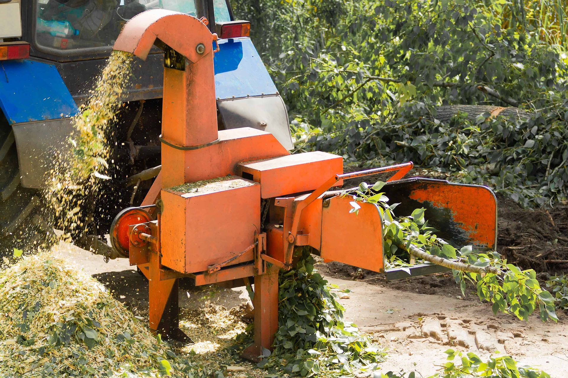 Orange wood chipper shredding branches in a wooded area, with chips spraying out.