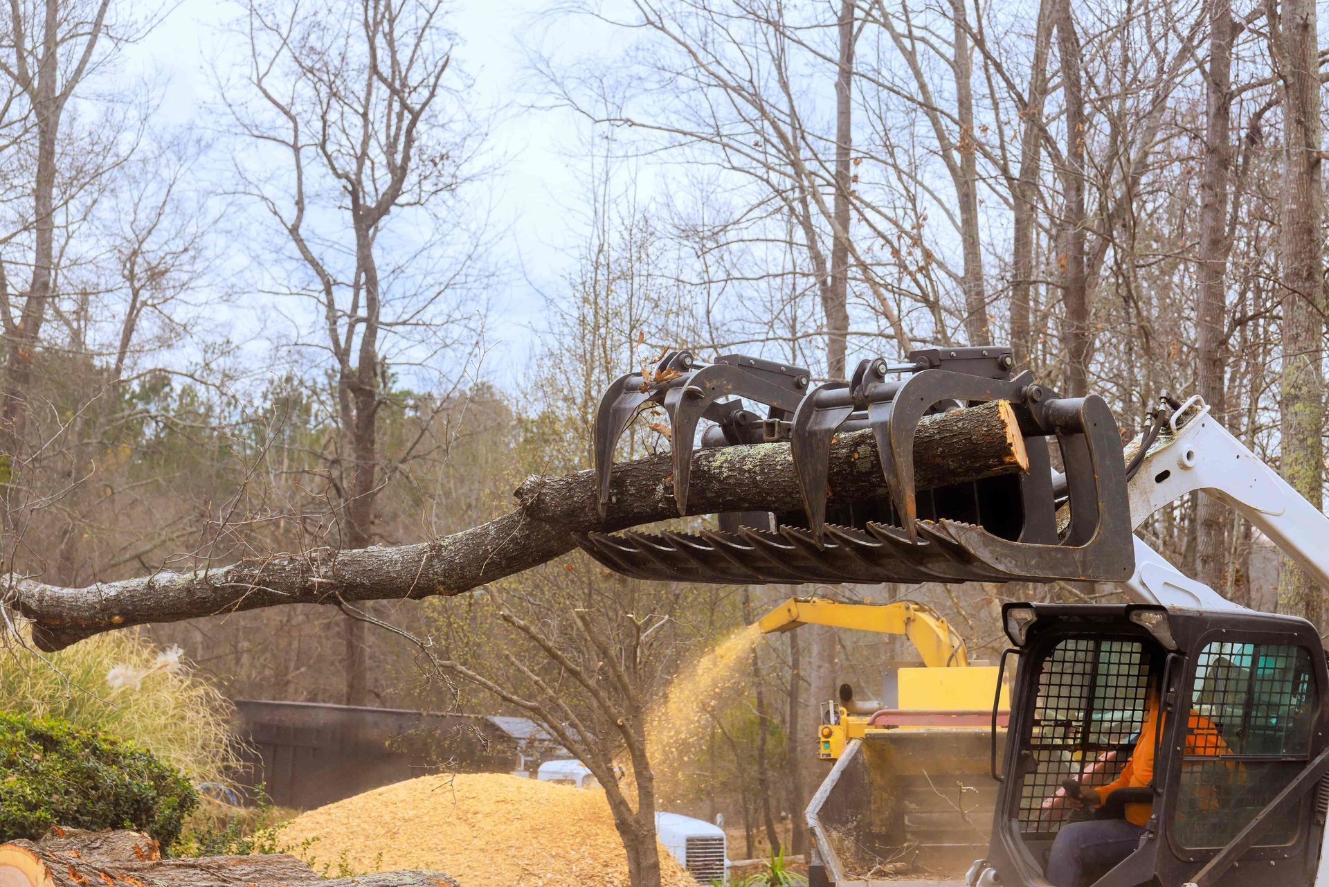 Excavator lifting a large tree trunk in a wooded worksite, with logs and machinery nearby.