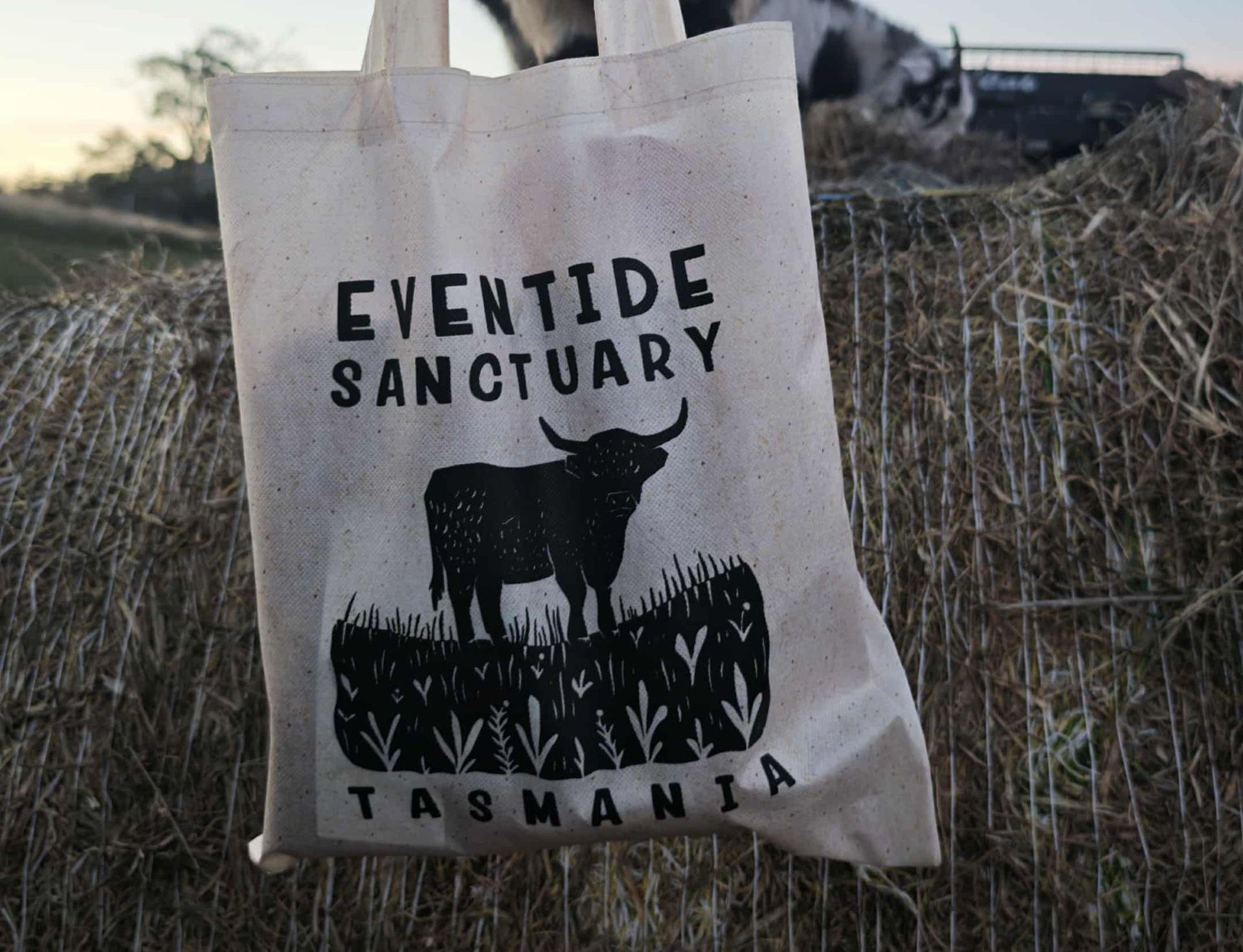 Highland Cow Tote Bag