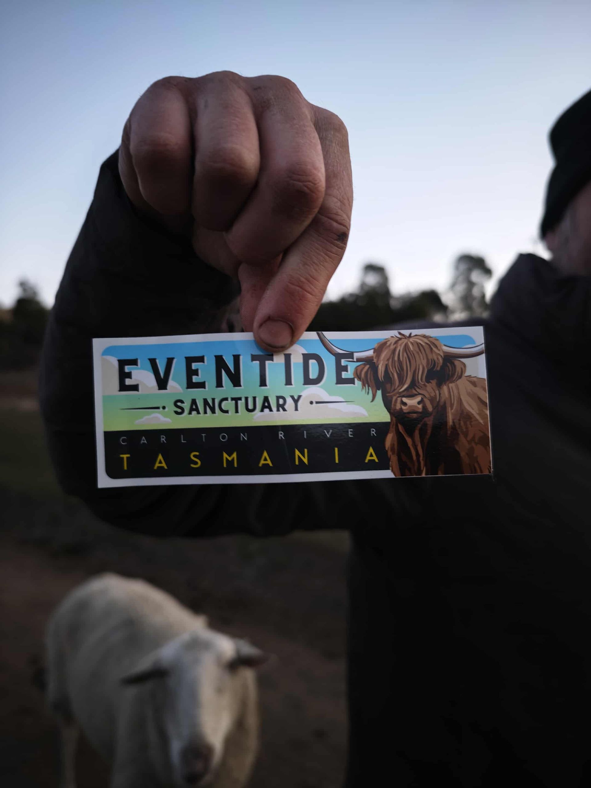 Eventide Bumper Sticker
