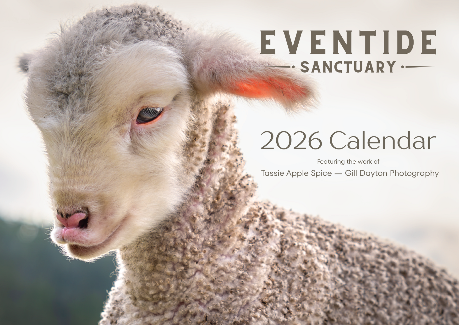 Eventide 2026 Calendar (Tassie Apple Spice - Gill Dayton Photography)